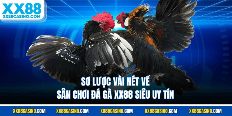 Sơ lược vài nét về sân chơi đá gà XX88 siêu uy tín